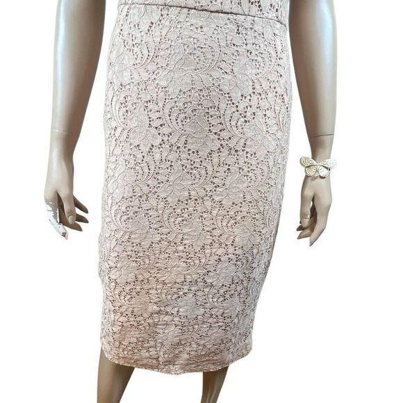 Zara Basic Collection Pink Lace Midi Dress Sleeveless Ruffle Trim Size M (040) - Picture 3 of 16